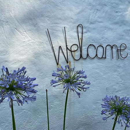 Caladdi Bed And Breakfast Durban Exterior foto