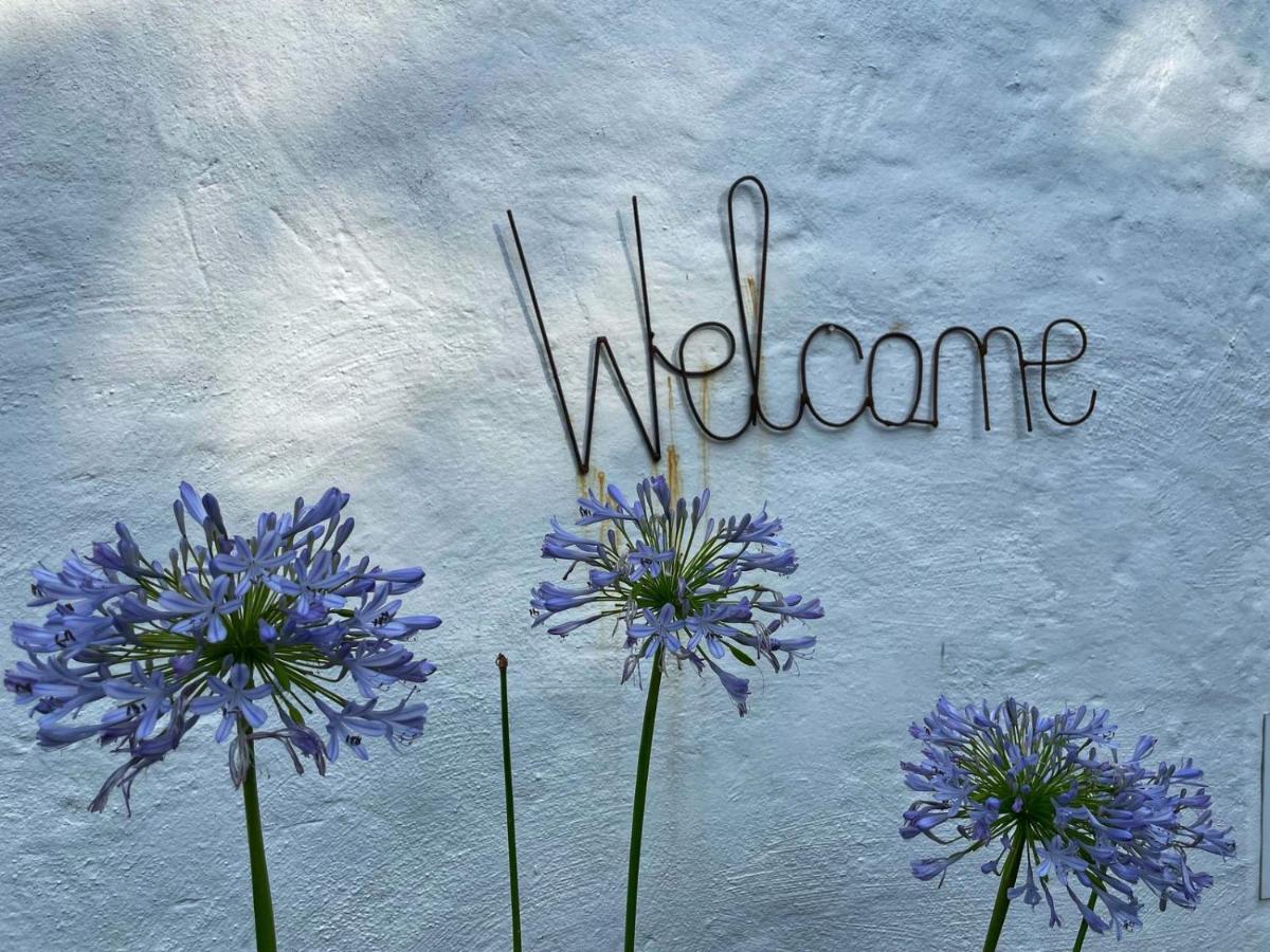 Caladdi Bed And Breakfast Durban Exterior foto